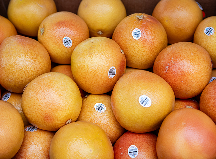 A close up of oranges. Links to Gifts That Pay You Income income.jpg