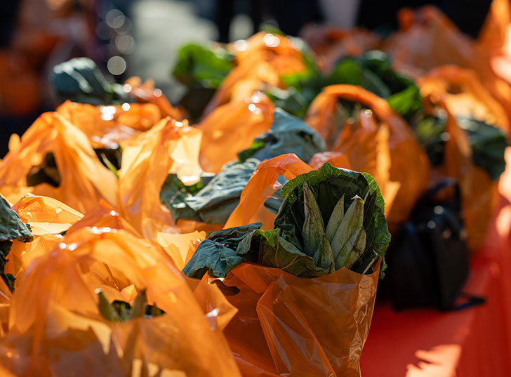 A close up of vegetables in oranges bags. Links to Gifts of Real Estate real.jpg